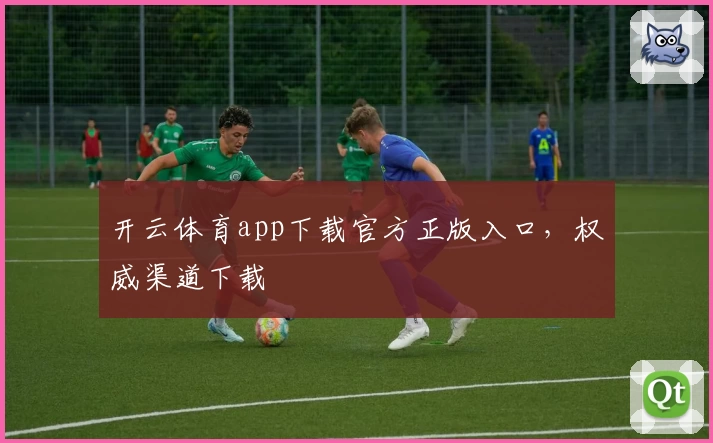 开云体育app下载官方正版入口，权威渠道下载