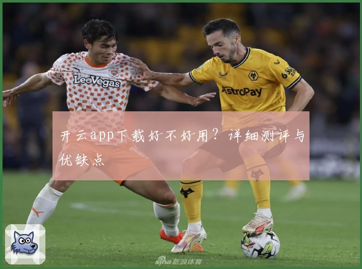 开云app下载好不好用？详细测评与优缺点