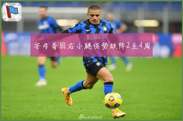 字母哥因右小腿伤势缺阵2至4周