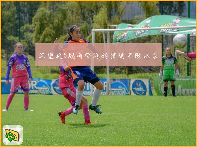 汉堡近6战海登海姆持续不败记录
