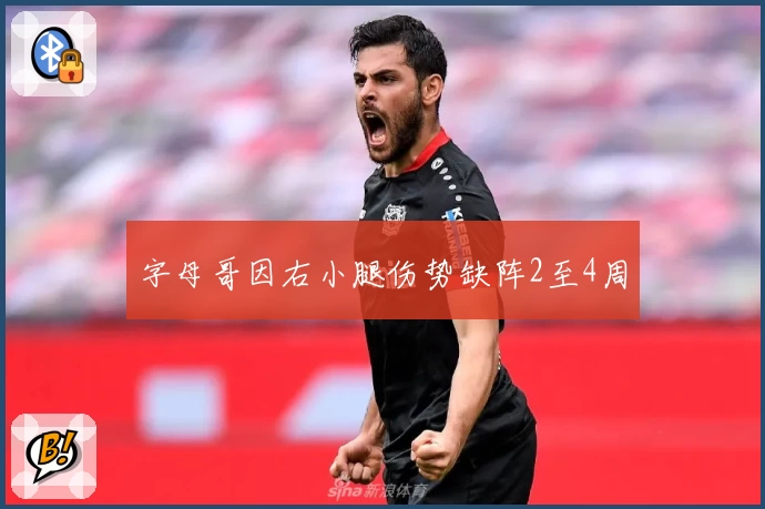 字母哥因右小腿伤势缺阵2至4周