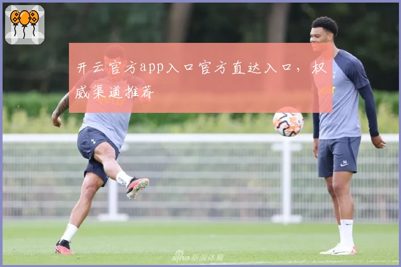 开云官方app入口官方直达入口，权威渠道推荐